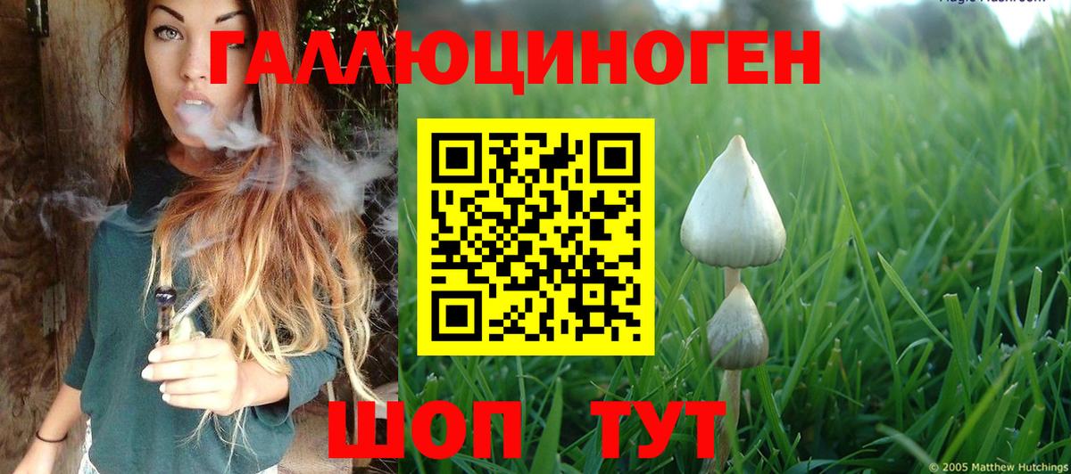 Псилоцибиновые грибы прущие грибы Симферополь