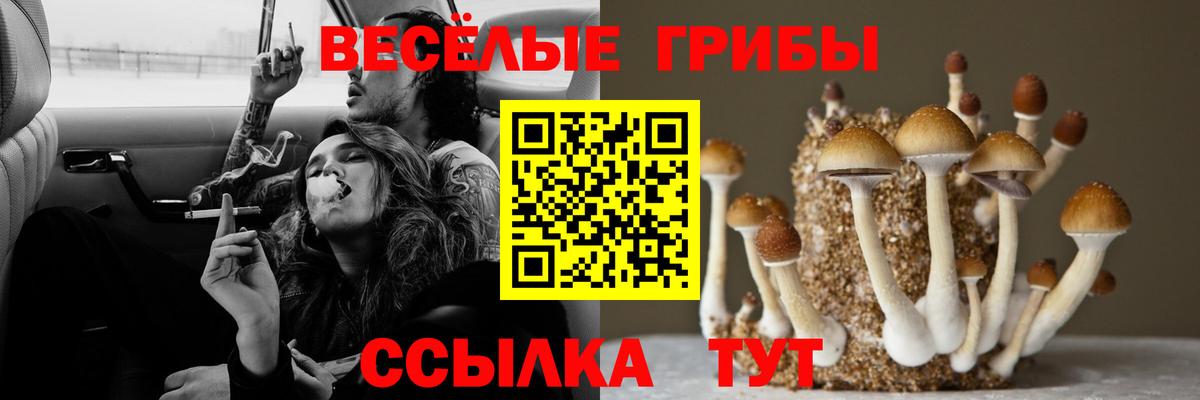 Псилоцибиновые грибы мицелий  Вход с VPN  Галлюциногенные грибы MAGIC MUSHROOMS  Симферополь 